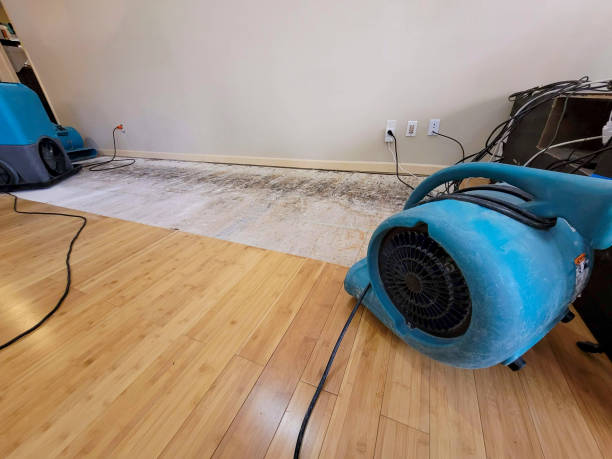 Reliable Basement Flood Cleanup contractor in Brockton, MA by Hirex Water Damage