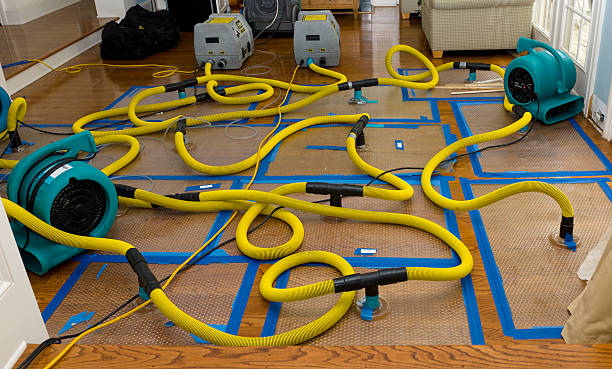 Professional Basement Flood Cleanup technician working in Brockton, MA